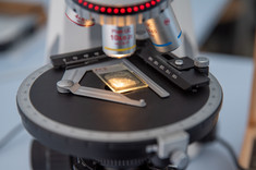 Najnowszej generacji mikroskop polaryzacyjny Panthera TEC POL trin z kamerą mikroskopową Pro-S5 Lite, 
